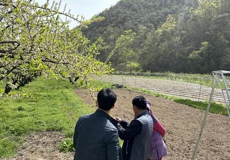 메인사진