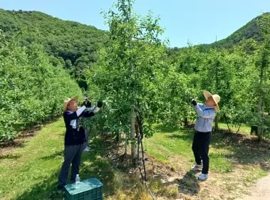 메인사진