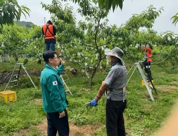 메인사진