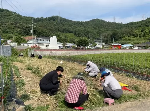 썸네일이미지