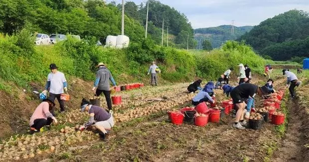 썸네일이미지