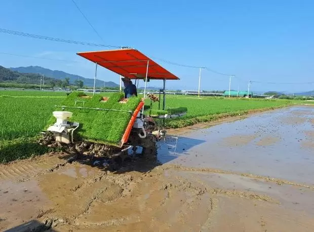 메인사진