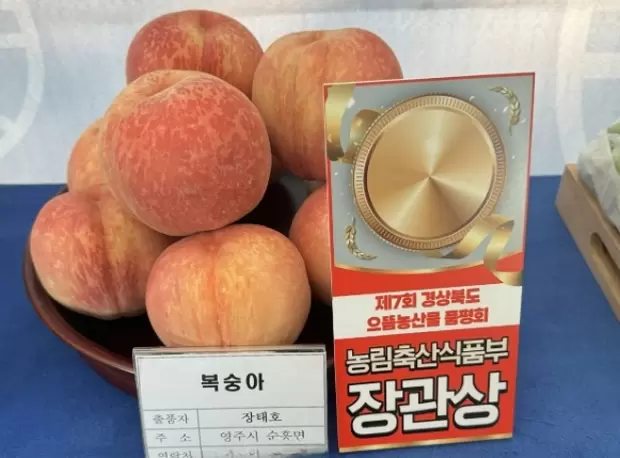 메인사진