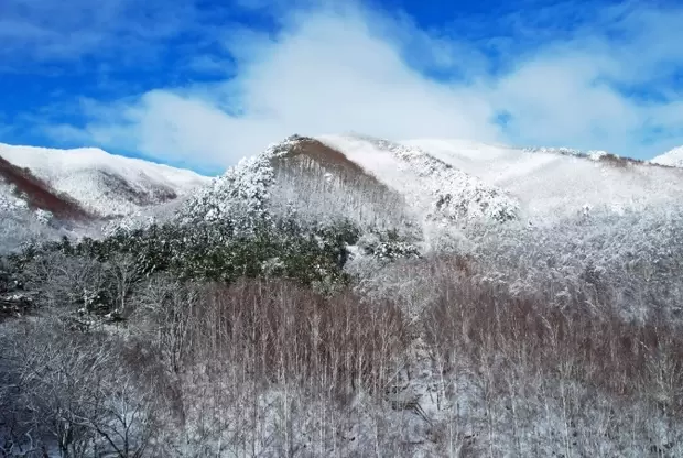 메인사진